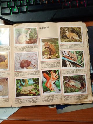 Album Il Mondo degli Animali Panini anno 1971