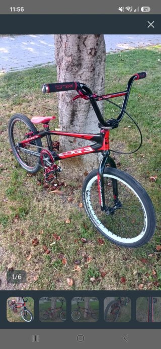 BMX Chase Edge Talla Pro