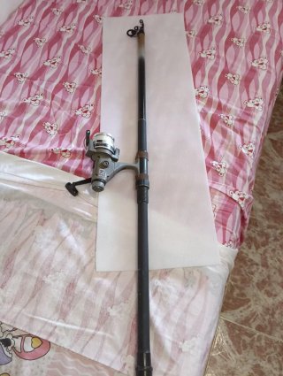 2 Cañas de Pescar extensible con Carrete