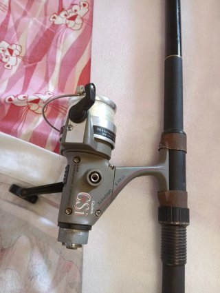 2 Cañas de Pescar extensible con Carrete