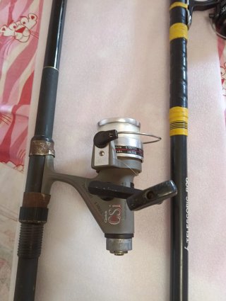 2 Cañas de Pescar extensible con Carrete