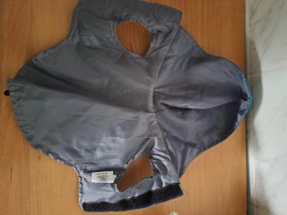 Traje para perro azul y gris