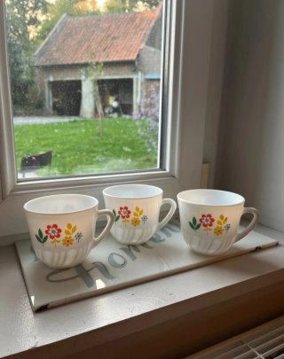 Tazas Arcopal con flores (3 unidades) NOCILLA