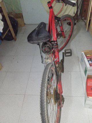 Bicicleta de iniciación spezialiced montaña