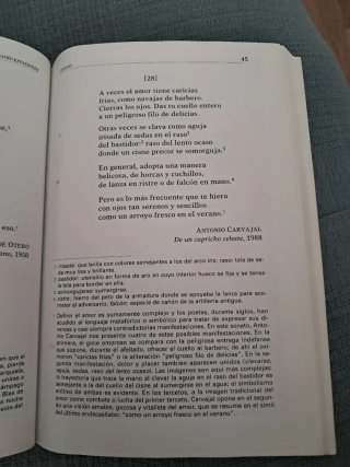 Las Cuatro Estaciones Invitación a la Poesía