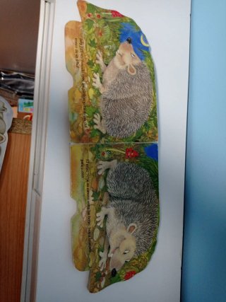 2 libros infantiles. Precio por los 2