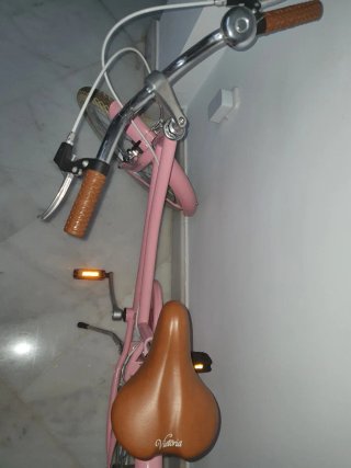 Bicicleta Clásica Rosa 24