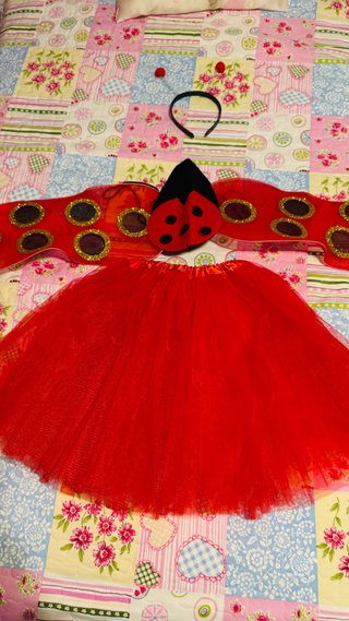 Disfraz completo de Mariquita niña 5 años