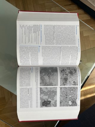 Harrison. Principios de medicina interna. I.