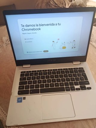 Portátil Asus Chromebook Plata