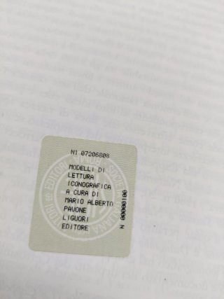Modelli di lettura iconografica il panorama mer...