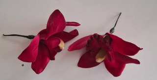Adornos de pelo florales