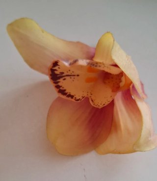Adornos de pelo florales