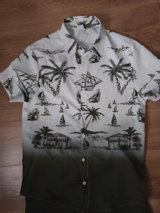 Conjunto Verano Hombre: Camisa y Pantalón Corto
