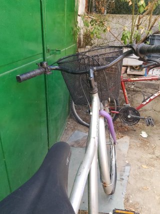 Bicicleta plateada con cesta