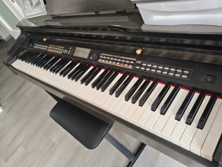 Piano Digital Worlde Teclas Contrapesadas