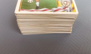 Lote 100 cromos diferentes sin pegar 95 96 Ed Este