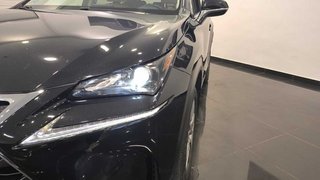 Lexus NX  300H EXECUTIVE 4WD NAVIBOX