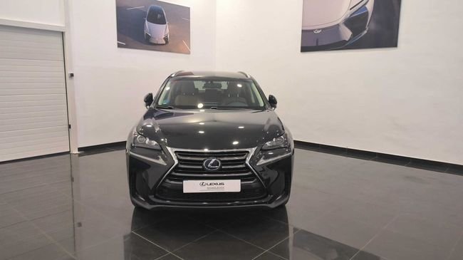 Lexus NX 300h Executive 4WD +Navibox 2016, foto 2