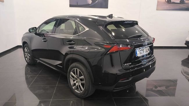 Lexus NX 300h Executive 4WD +Navibox 2016, foto 4