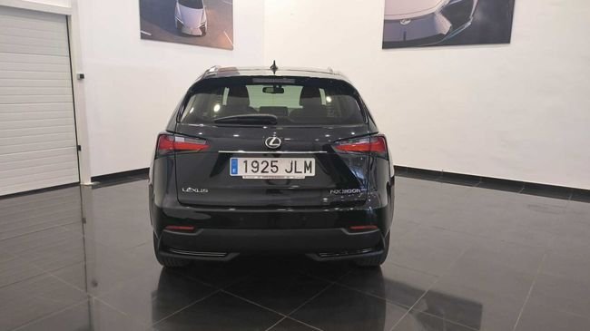 Lexus NX 300h Executive 4WD +Navibox 2016, foto 5