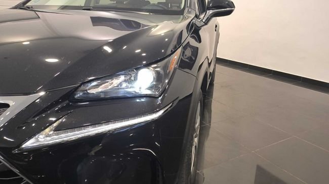 Lexus NX 300h Executive 4WD +Navibox 2016, foto 14