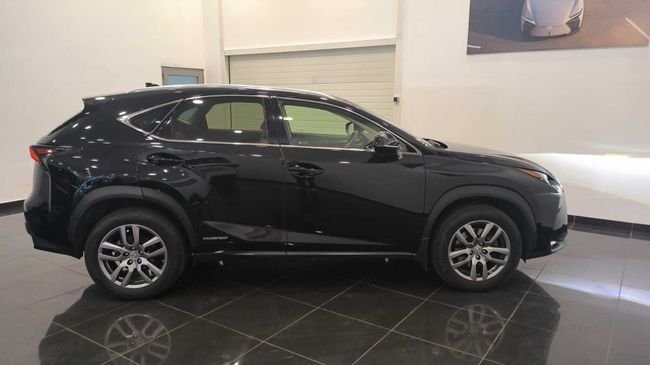 Lexus NX 300h Executive 4WD +Navibox 2016, foto 15