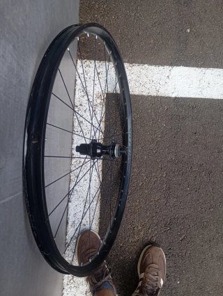 Rueda Trasera MTB 12v, 29 pulgadas.