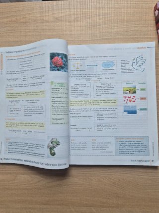 Lengua Castellana y Literatura, 2 ESO, Cataluny...