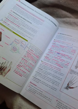 Anatomía aplicada Bachillerato 1