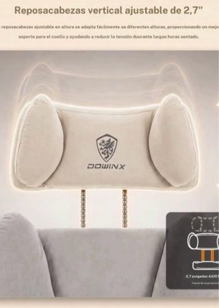 silla de oficina ergonomica Dowinx
