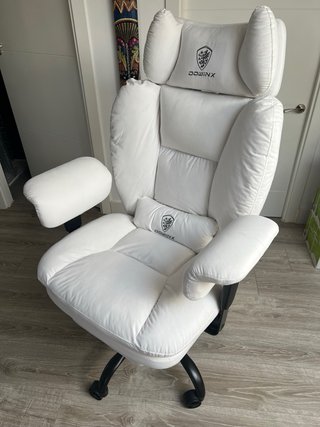 silla de oficina ergonomica Dowinx