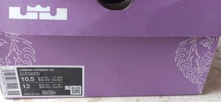 Nike LeBron Witness 8 Glacier Blue/Purple