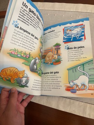 Lote 3 Libros Educativos "Descubre con Disney"