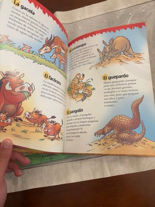 Lote 3 Libros Educativos "Descubre con Disney"