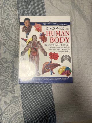 Juego Educativo Discover the Human Body