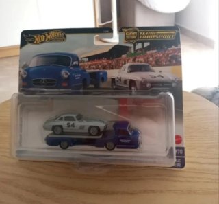 HOT WHEELS TEAM TRANSPORT