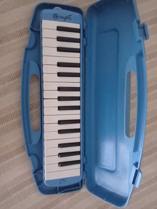 Melodica blu con custodia