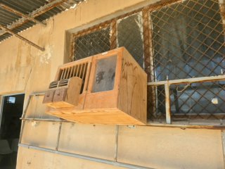 Cajón educador madera insonorizado