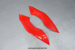 Oferta especial Carenado BMW S1000RR 2023 - 2024