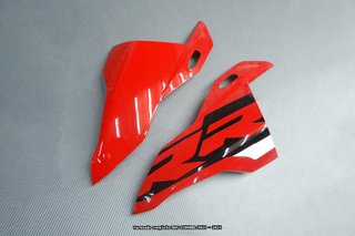 Oferta especial Carenado BMW S1000RR 2023 - 2024