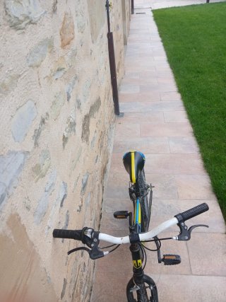 Bicicleta infantil negra y amarilla