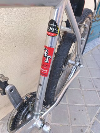 Bicicleta Globe Trotter Aluminio