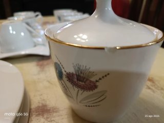 Set di stoviglie vintage Royal China Vigo Porzelanit
