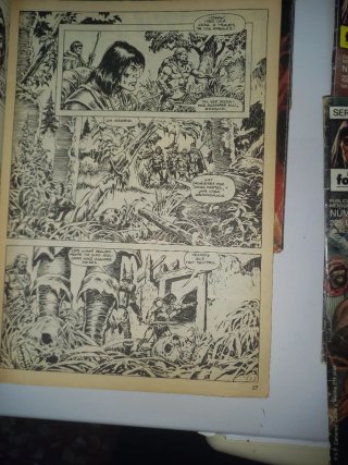 Lote Cómics Connan