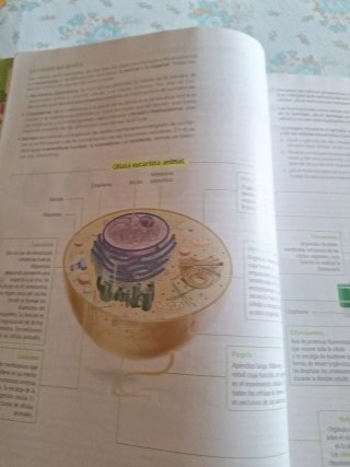 Biología y Geología, 4 Secundaria,  Re...