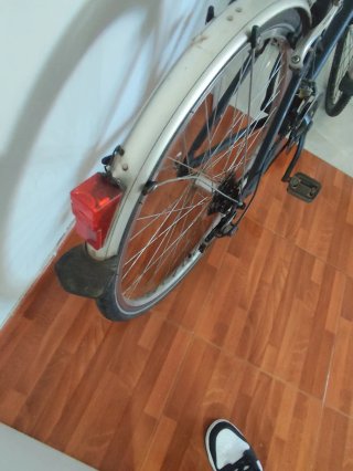 Bicicleta Calmera 6 marchas vintage