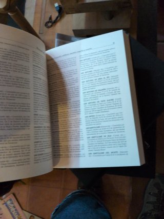 Diccionario heráldico y nobiliario González Doria