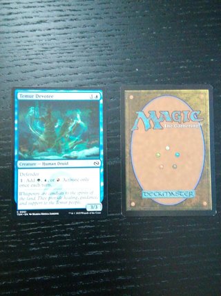 Temur Devotee - Magic The Gathering Carta