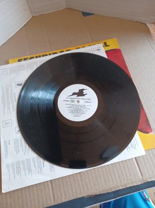 Vinilo Seguridad Social Furia Latina 1993